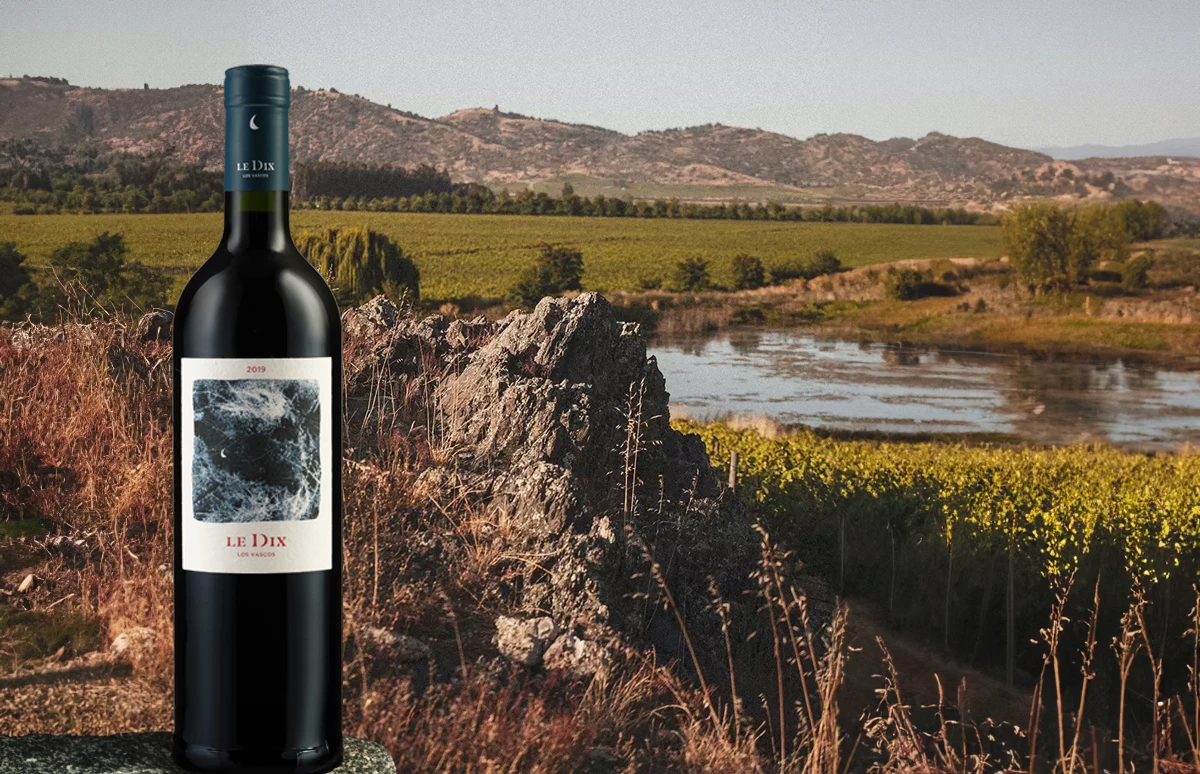 Los Vascos Le Dix met op de achtergrond het unieke ecosysteem van dit Chilleense wijnbedrijf