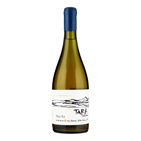 VENTISQUERO Tara Premium Chardonnay -Atacama Valley