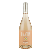 PELLEGRINO Diantha Rose