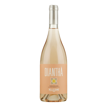 PELLEGRINO Diantha Rose