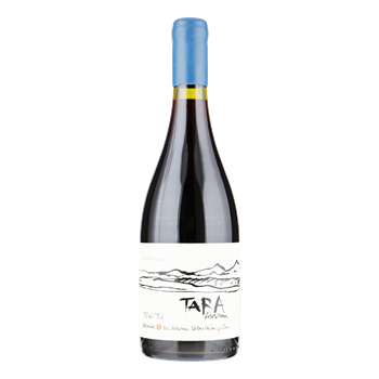 VENTISQUERO Tara Premium Pinot Noir -Atacama Valley