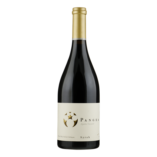 VENTISQUERO Pangea Syrah (per 6 in kist)