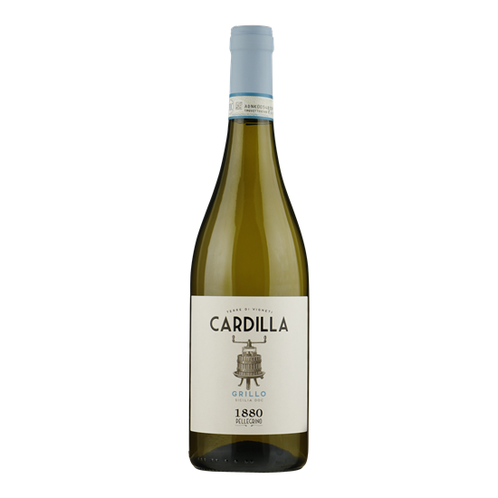 PELLEGRINO CARDILLA Grillo