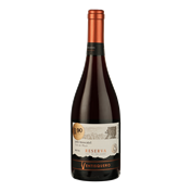 VENTISQUERO Reserva Pais Moscatel -Valle del Maule***