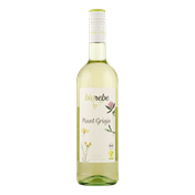 BIOREBE Pinot Grigio IGP Italia (BIO)