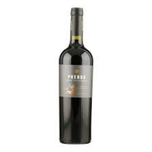 PHEBUS Gran Reserva Merlot Patagonia