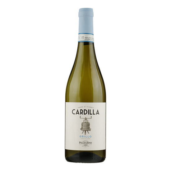 PELLEGRINO CARDILLA Grillo