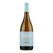 PELLEGRINO Diantha Bianco