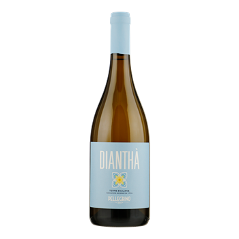 PELLEGRINO Diantha Bianco