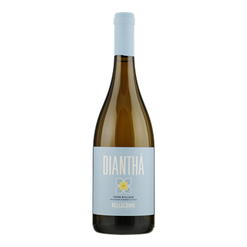 PELLEGRINO Diantha Bianco