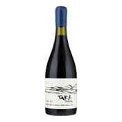 VENTISQUERO Tara Premium Syrah -Atacama Valley