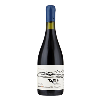 VENTISQUERO Tara Premium Syrah -Atacama Valley