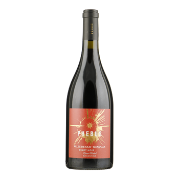 PHEBUS Pinot Noir - Valle de Uco