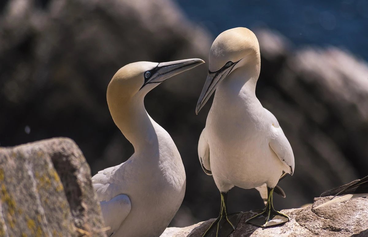 Schitterende omgeving Filey Bay - Yorkshire 5