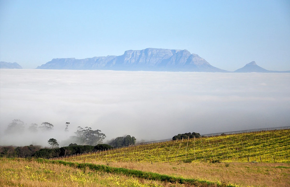 Mooiplaas Wine Estate - Zuid-Afrika 2