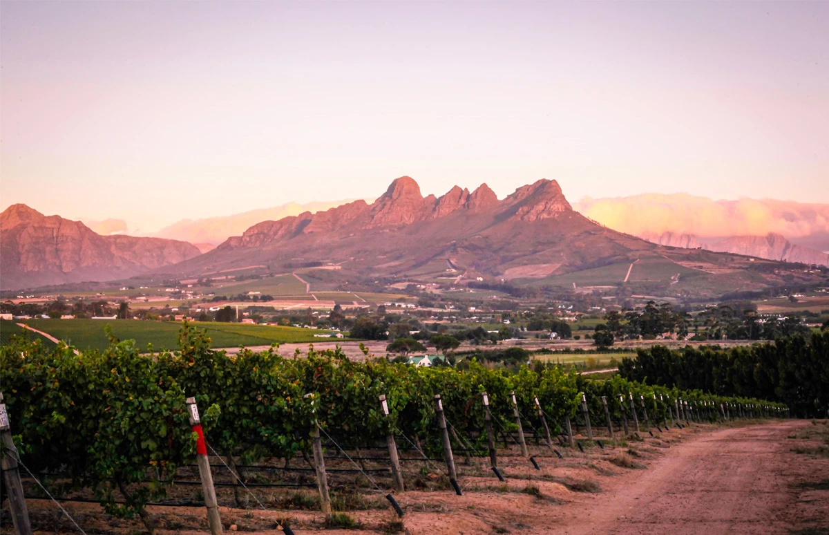 Mitra-reis Lyngrove in Stellenbosch 4