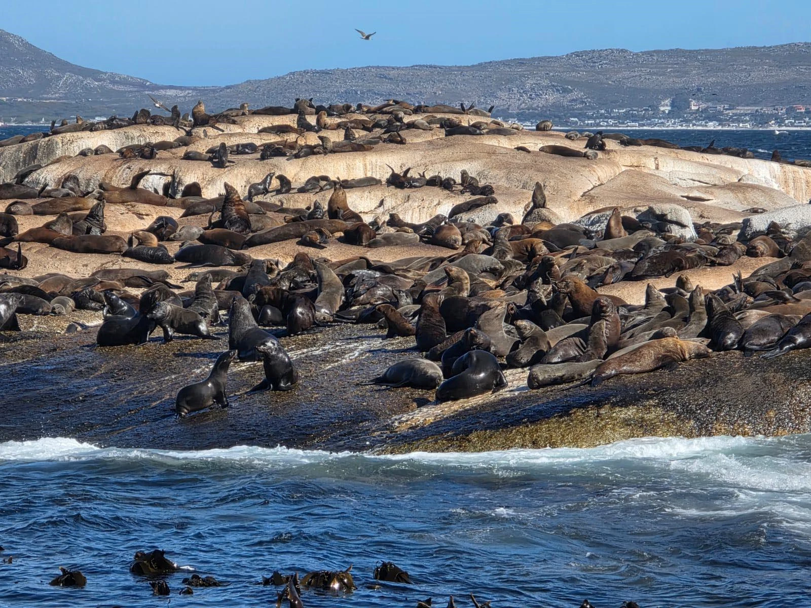 Mitra-reis: van wijngebied naar wereldstad: tussenstop in Kaapstad 3