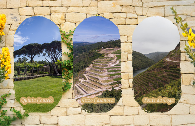 Karaktervolle wijnen uit Galicië