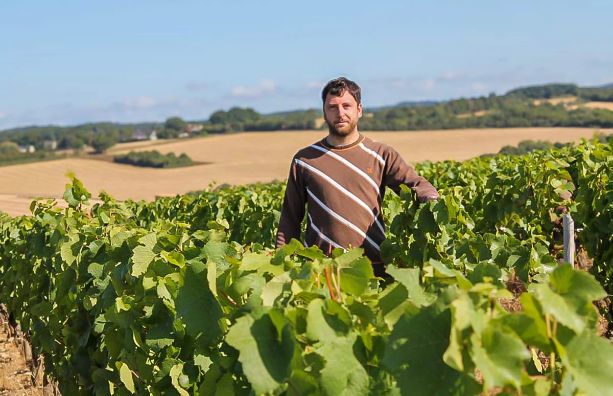 Loirewijn in de schijnwerpers: Domaine Dionet 2023