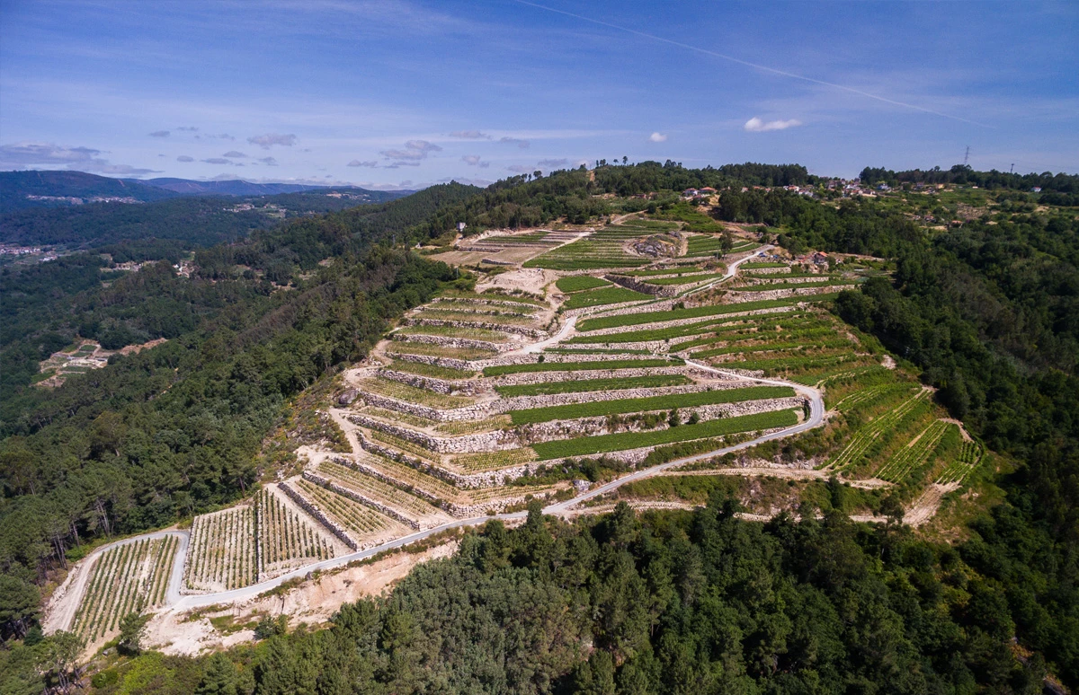 Rías Baixas ,een regio met toekomst
