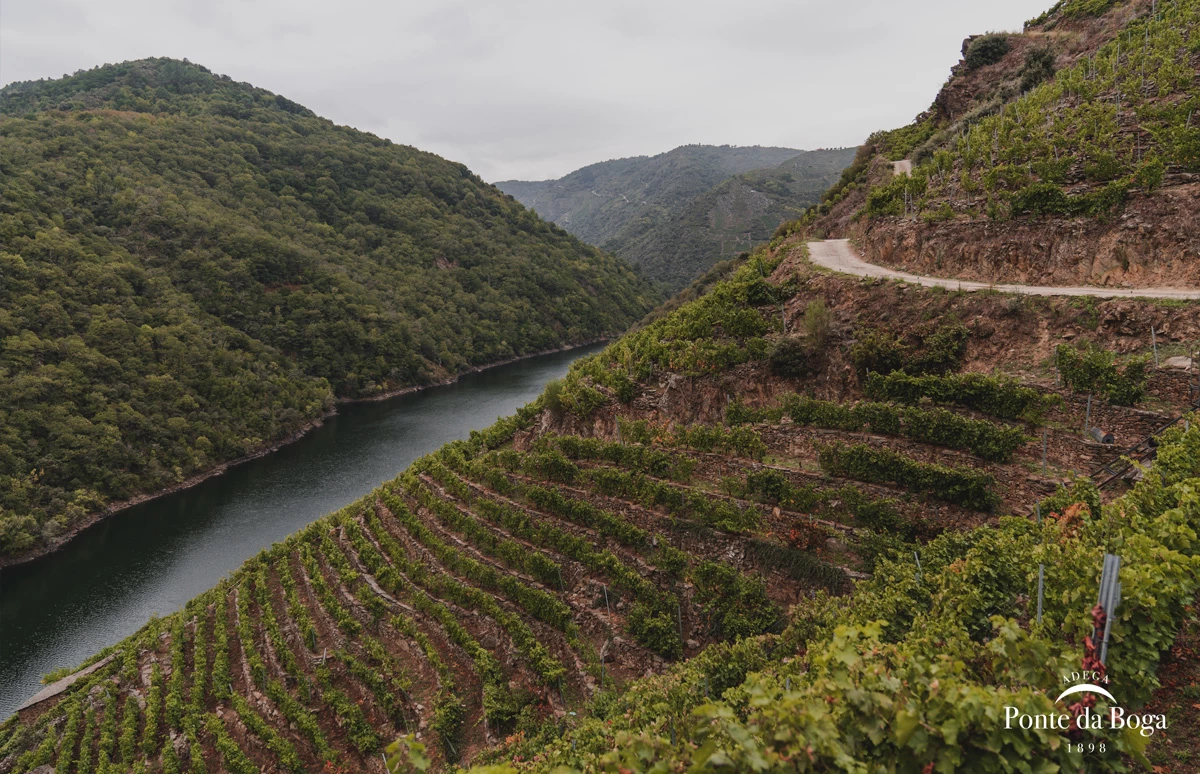 Rías Baixas ,een regio met toekomst 2
