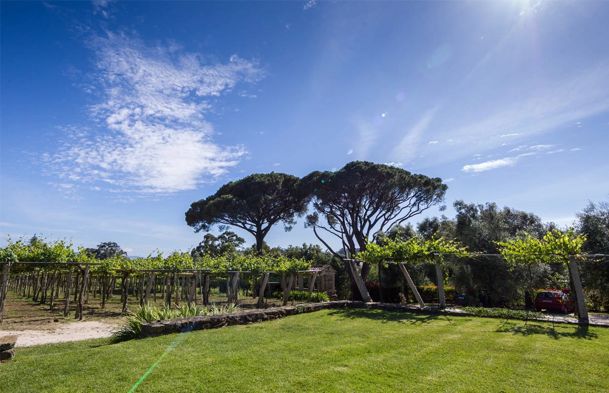 Rías Baixas ,een regio met toekomst 3