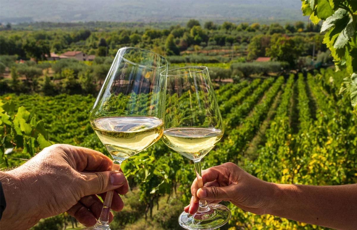 Wijnproeverijen bij De Monnik Dranken - DBR Rothschild Lafite