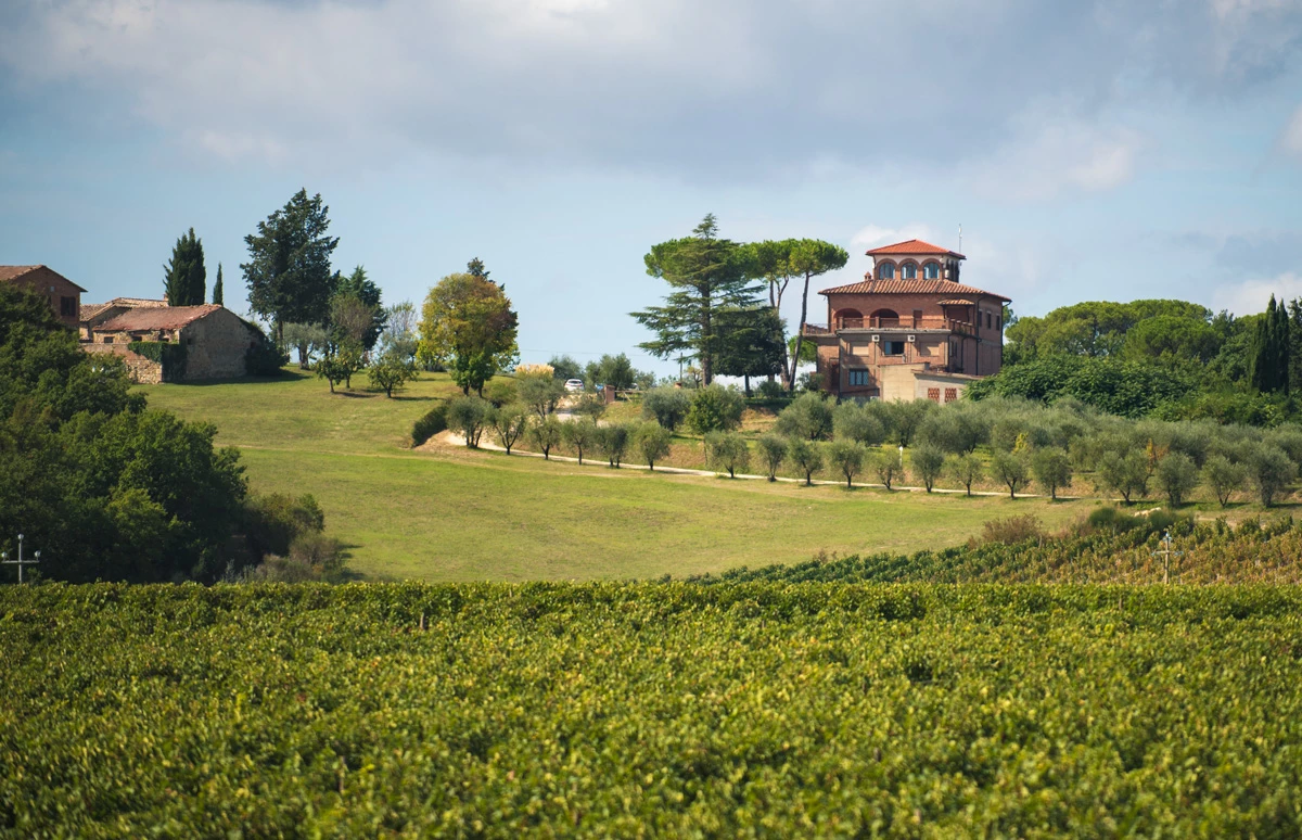 Wijnproeverij met wijnen uit Italië: Villa Trasqua