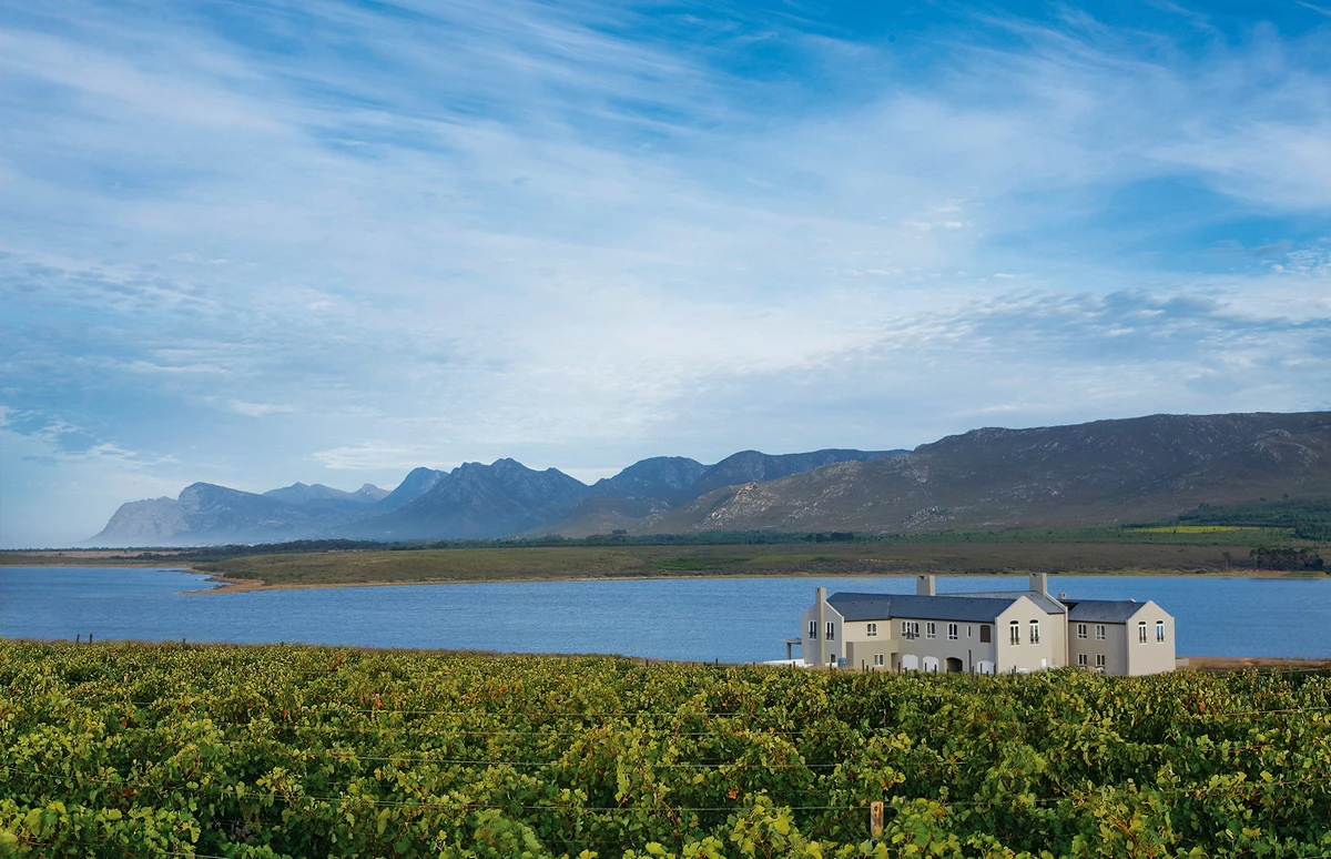 Wijnproeverij met wijnen Benguela Cove | Walker Bay, Zuid-Afrika