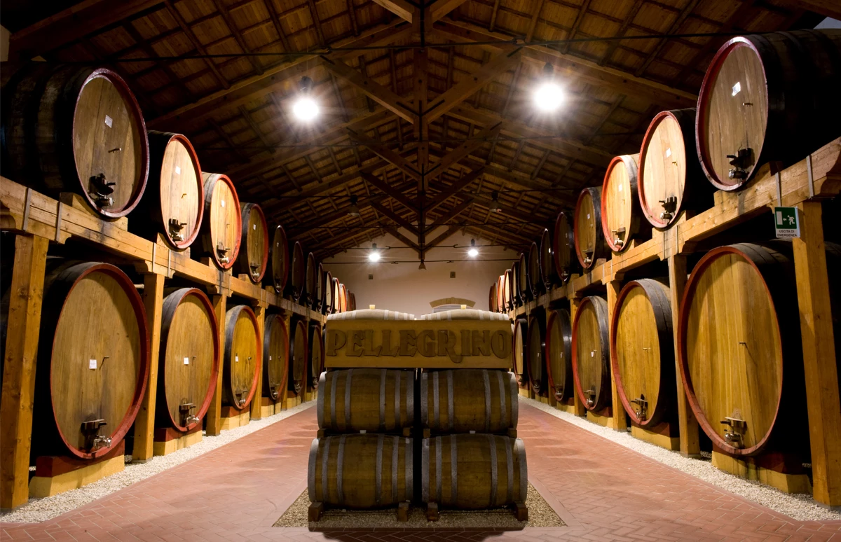 De line-up met wijnen van Pellegrino in Beverwijk: wit, rood en zoet