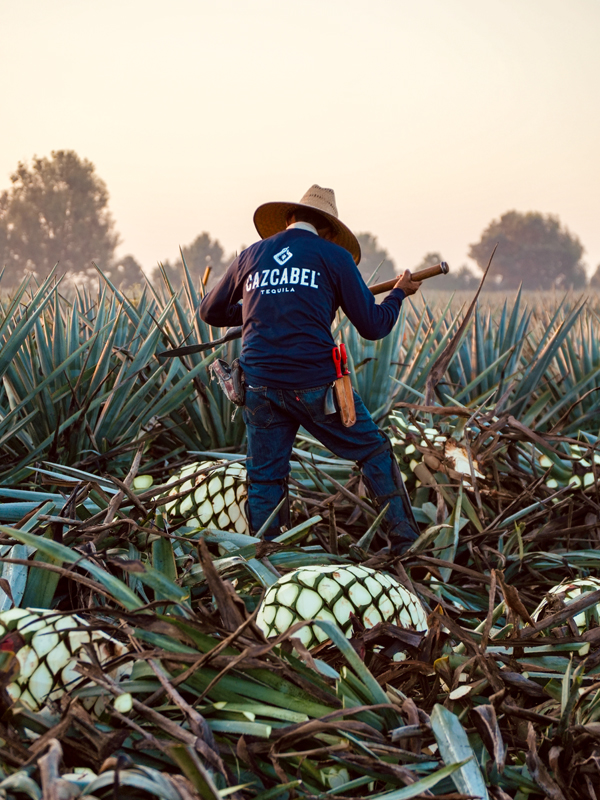 Cazcabel Tequila sfeer 2