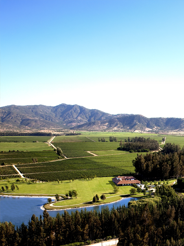 Los Vascos Chagual Sauvignon Blanc 2024 4
