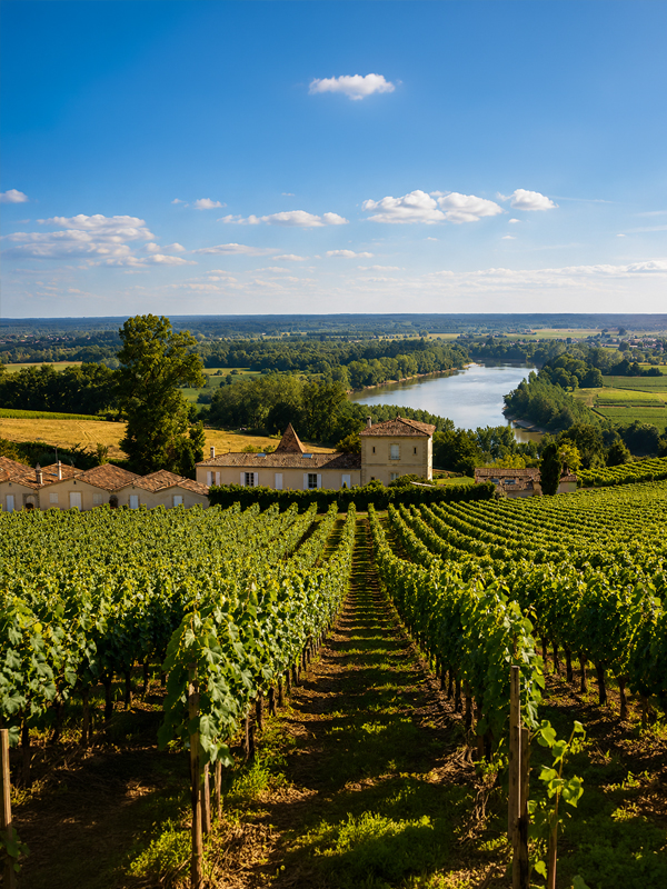 Onno Kleyn over Perrachon Fleurie Vieilles Vignes kwaliteitswijn uit Beaujolais 2