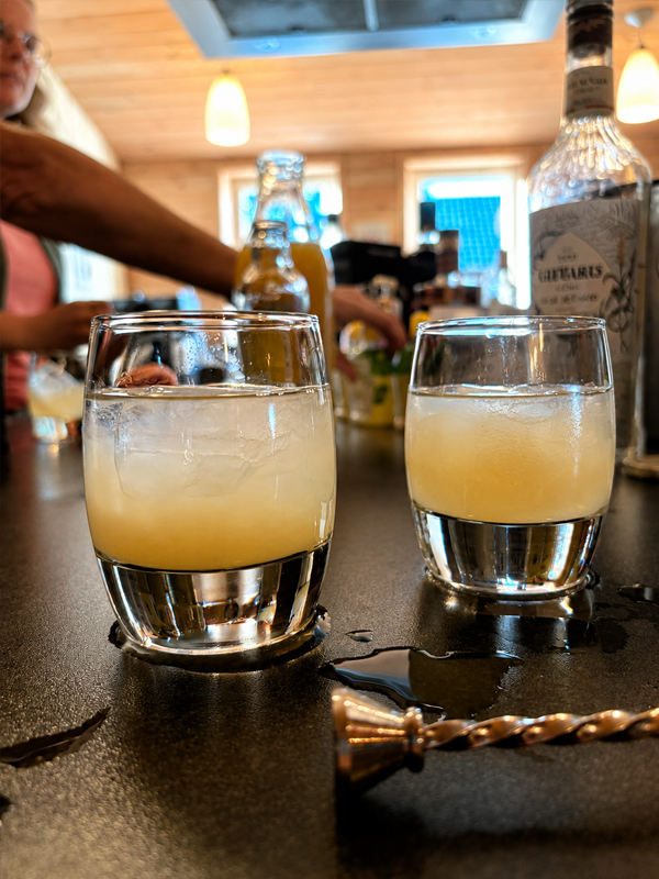 Filliers cocktailworkshop in Beilen  2