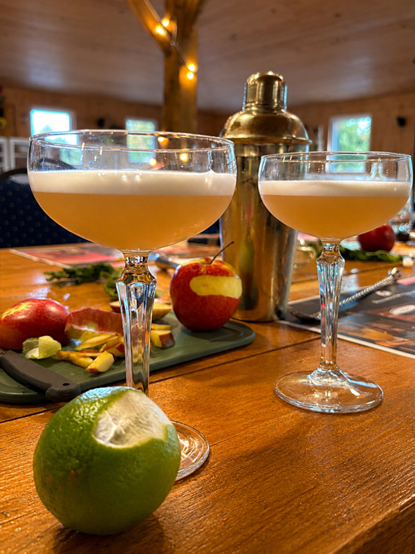 Filliers cocktailworkshop in Beilen 3