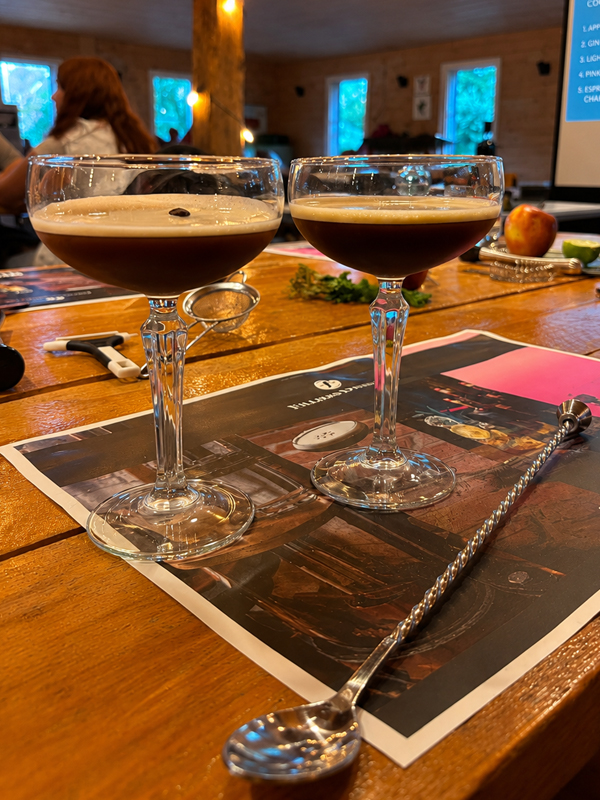 Filliers cocktailworkshop in Beilen  4