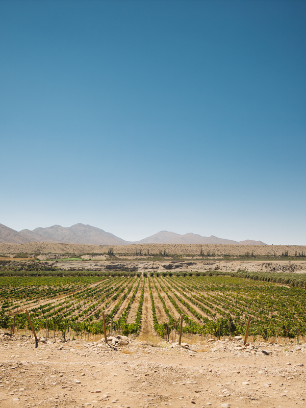 Ventisquero Huasco Valley 5
