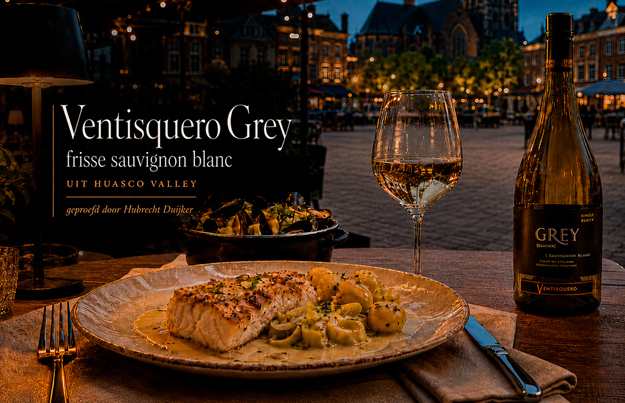 Ventisquero Grey: frisse sauvignon blanc uit Huasco Valley