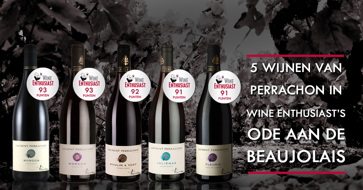 zonsopkomst Ontwapening Creatie 5 wijnen van Perrachon in Wine Enthusiast's ode aan de Beaujolais