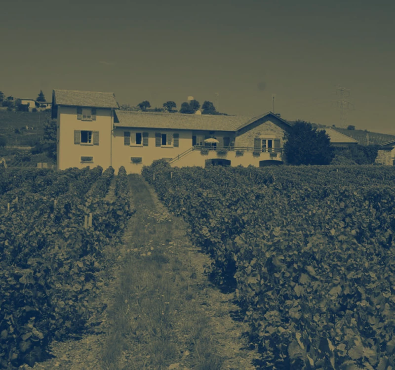 Laurent Perrachon Père & Fils