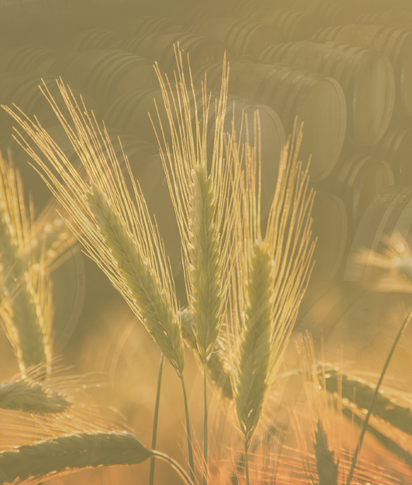 GlenAllachie 8 YO & White Heather 15 YO Bestelinformatie