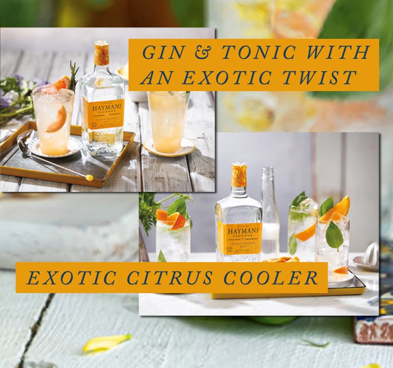 Serveersuggestie Hayman's Exotic Citrus