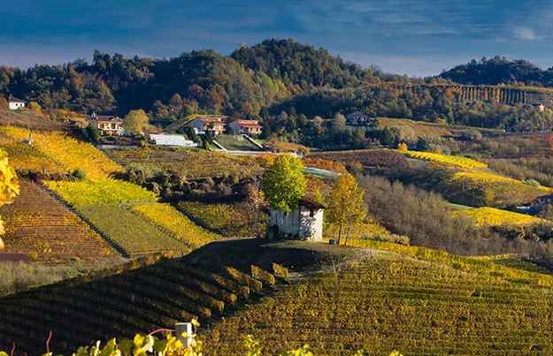 Ciabot San Giorgio in Monteu Roero | Piemonte | Angelo Negro
