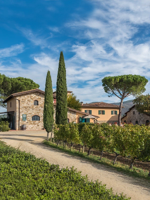 Viticcio sfeerafbeeldingen