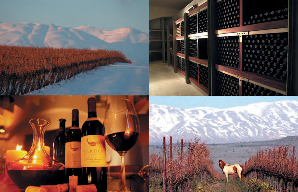 Golan Heights Winery