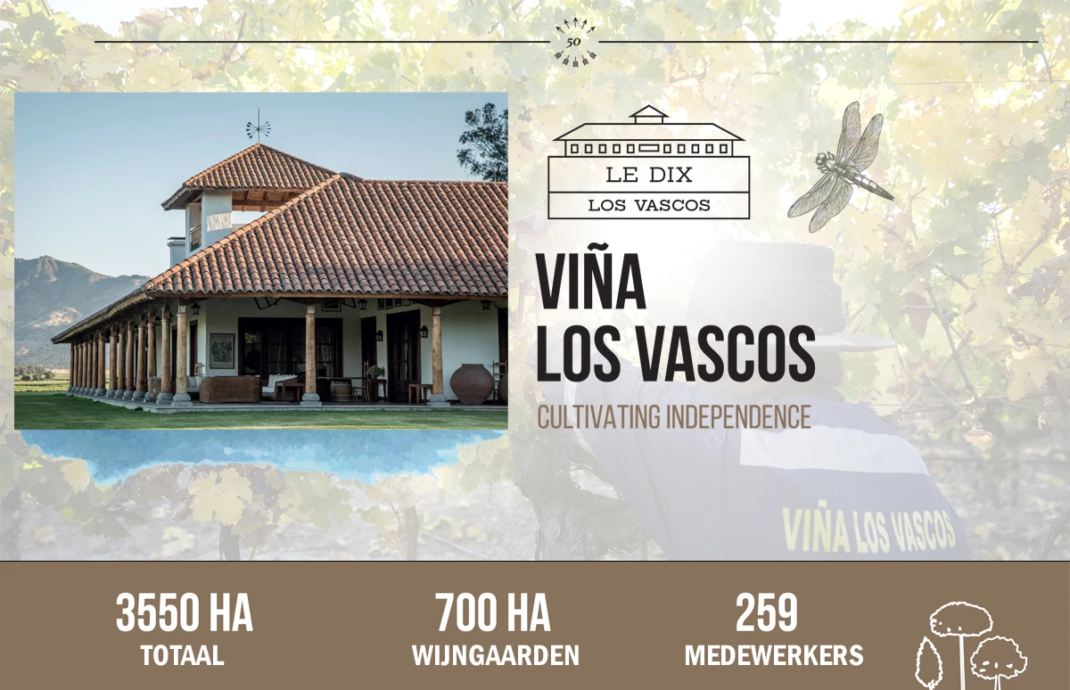 Organische wijngaarden van Los Vascos