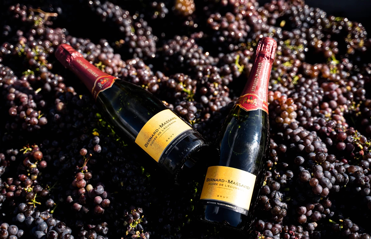 Cuvée de l’Écusson