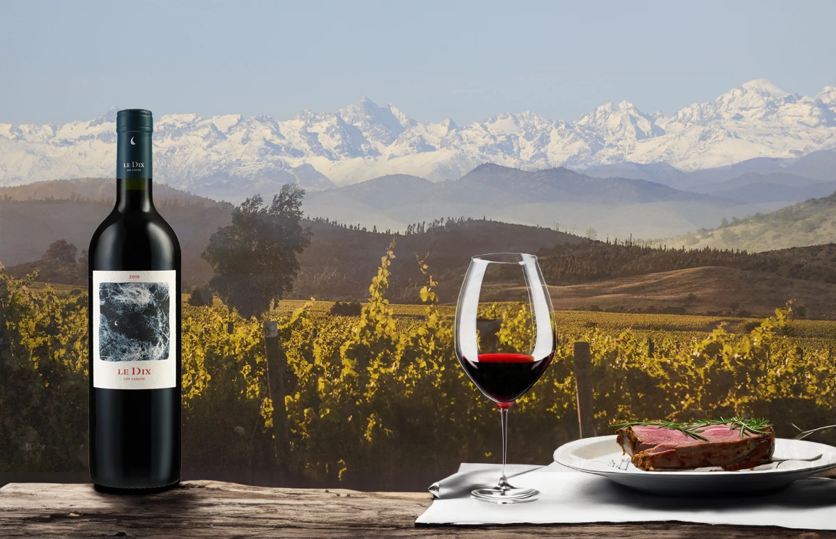 Los Vascos Le Dix sfeerafbeelding - Chileense premium wijn