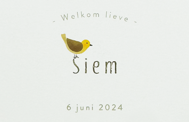 Eerste kindje voor Bouke en Aniek