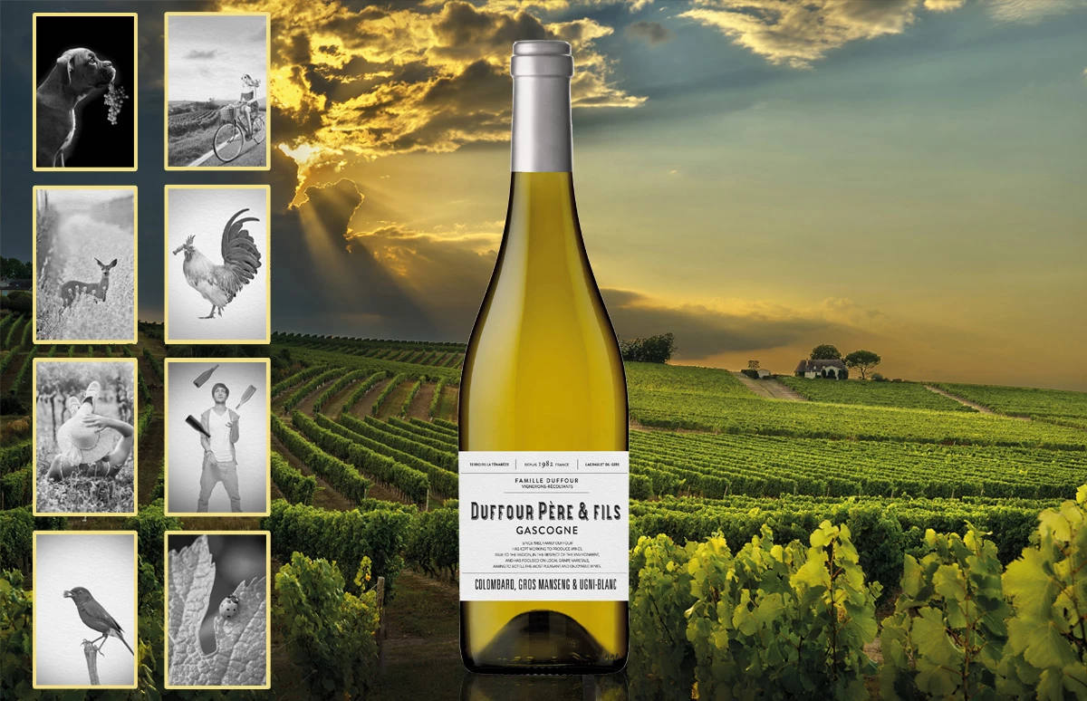 Duffour Côtes de Gascogne Blanc met 8 verschillende etiketten